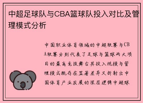 中超足球队与CBA篮球队投入对比及管理模式分析